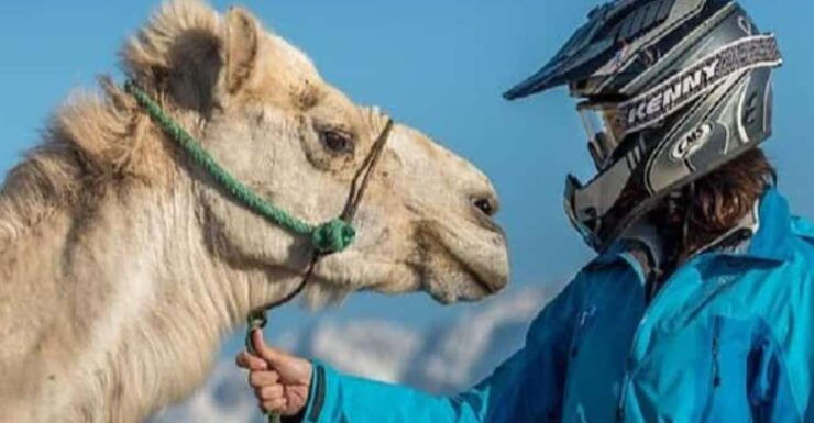 Agadir Quad Bike & Camel Riding With Snacks - Booking and Cancellation Policy