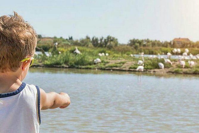 Agadir Quad Biking & Camel Riding With Snacks - Reviews and Ratings