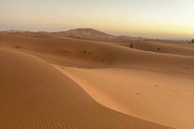 Agadir Sahara Day Trip With Lunch - Price and Terms