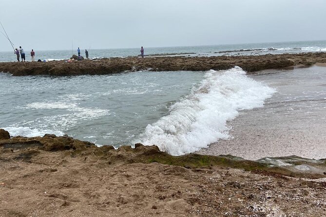 Agadir Sahara Day Trip With Lunch - Itinerary