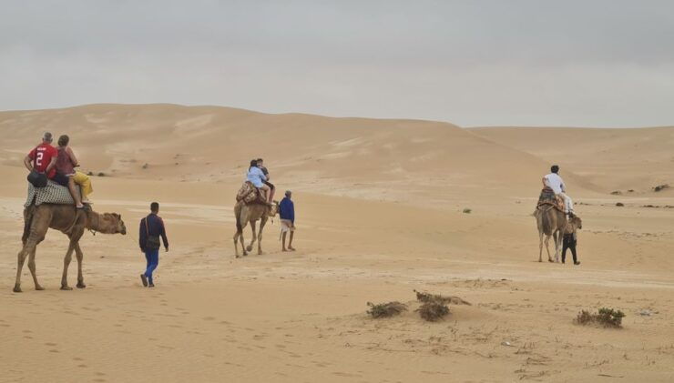 Agadir: Sahara Desert Camel Ride & Sandboarding Halfday Trip - Activity Details