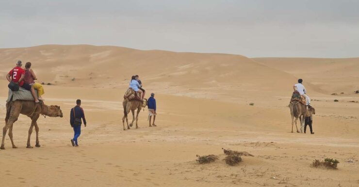 Agadir: Sahara Desert Camel Ride & Sandboarding Halfday Trip - Highlights