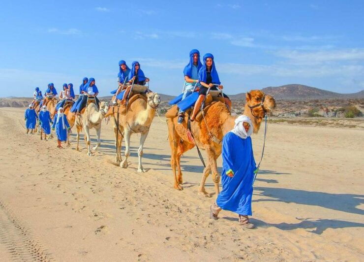 Agadir Sahara Desert Trip With Lunch And Camel Trek - Experience Highlights