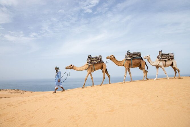 Agadir Sand Dunes and Camel Ride in Tifnit With Lunch - Camel Ride Experience