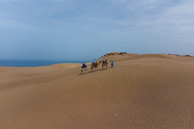 Agadir Sand Dunes and Camel Ride in Tifnit With Lunch - The Sum Up