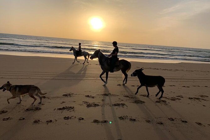 Agadir Sandboarding and Horse Ride in Taghazout Beach - Transportation Options