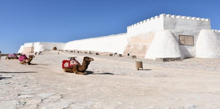 Agadir Sightseeing Tour & Cable Car Tickets - Experience Highlights