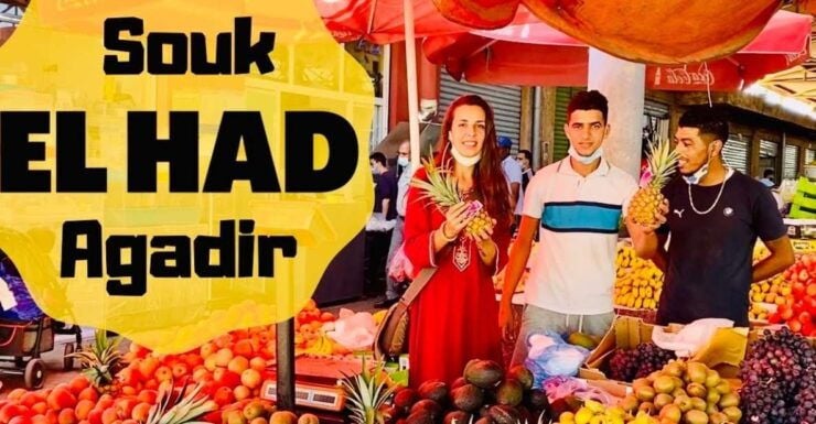 Agadir: Souk El Had Biggest Market in Morocco Guided Tour - Experience Highlights
