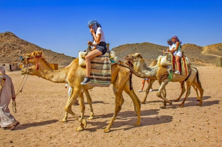 Agadir: Sunset Camel Ride - Flamingo River BBQ & Couscous - Activity Details
