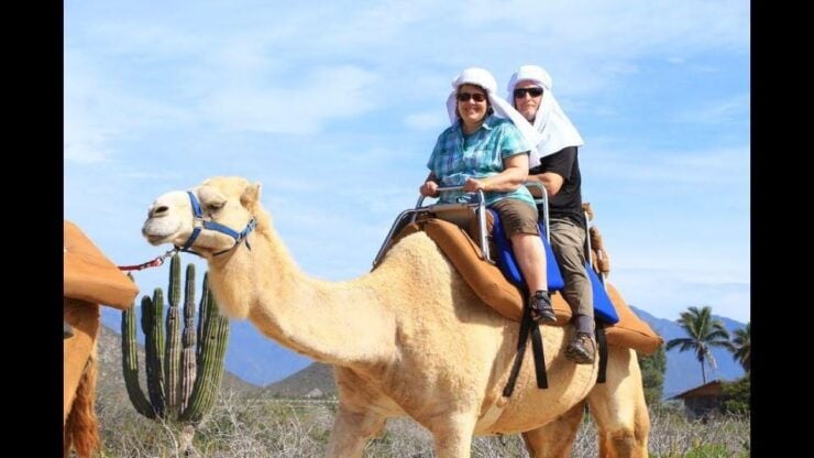 Agadir: Sunset Camel Ride, Flamingo River Tour & Drink - Activity Details