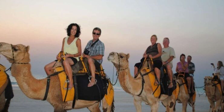 Agadir: Sunset Camel Ride, Flamingo River Tour & Drink - Experience Highlights