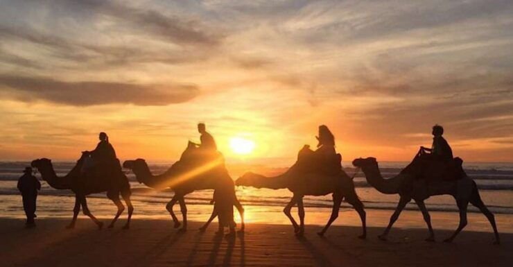 Agadir: Sunset Camel Ride With BBQ and Couscous - Activity Details