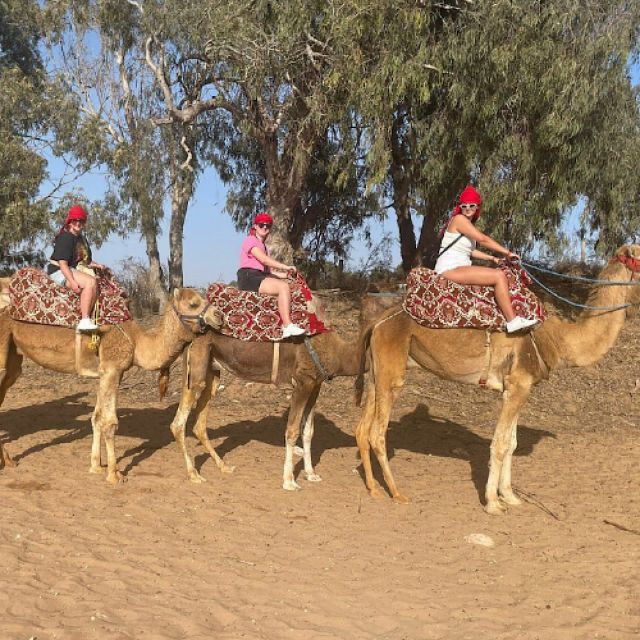 Agadir: Sunset Camel Ride With BBQ and Couscous - Highlights