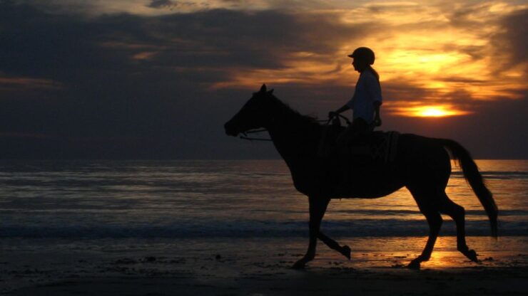 Agadir: Sunset Camel Ride With Dinner - Experience