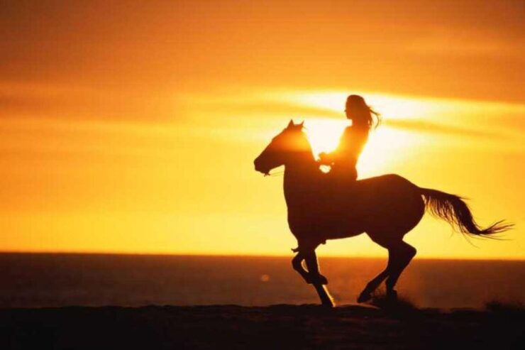 Agadir/ Taghazout: 2 Hours Horse Ride on the Beach - Activity Details