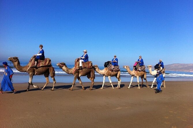 Agadir/Taghazout Camel Ride on the Beach - Good To Know