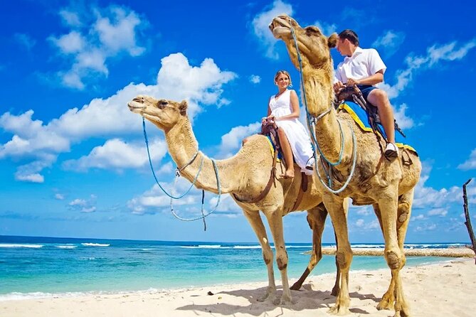 Agadir/Taghazout Camel Ride on the Beach - Booking Information