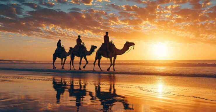 Agadir/Taghazout: Camel Ride on the Beach - Booking Details