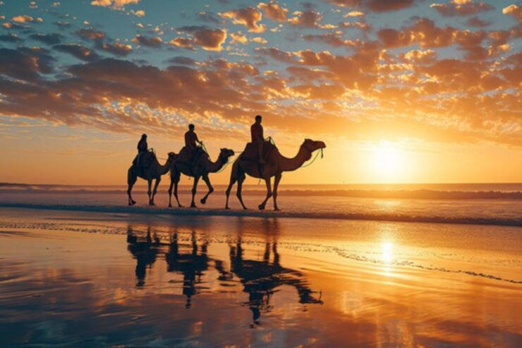 Agadir/Taghazout: Camel Ride on the Beach - Experience Highlights