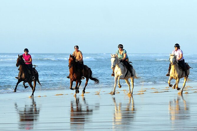 Agadir/Taghazout Horse Ride on the Beach - Activity Overview