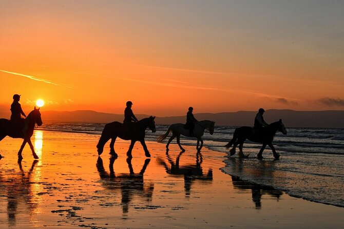 Agadir/Taghazout Horse Ride on the Beach - Important Notes