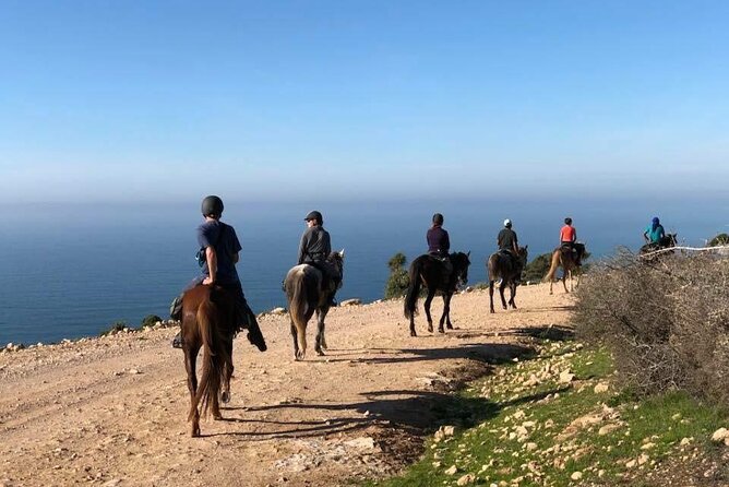 Agadir/Taghazout Horse Ride on the Beach - Booking Details