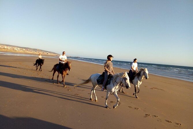 Agadir/Taghazout Horse Ride on the Beach - Frequently Asked Questions