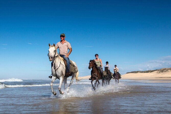 Agadir/Taghazout Horse Ride on the Beach - The Sum Up