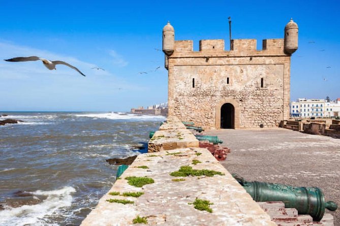 Agadir to Essaouira Private Day Trip - Reviews