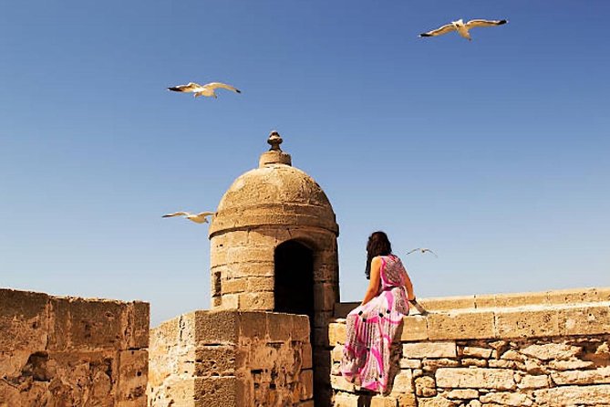 Agadir to Essaouira Private Day Trip - The Sum Up