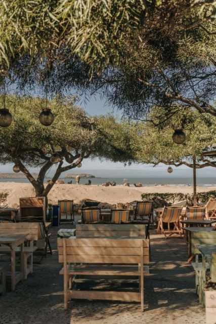 Agadir To Essaouira Trip - Goat Tree Climbing Phenomenon