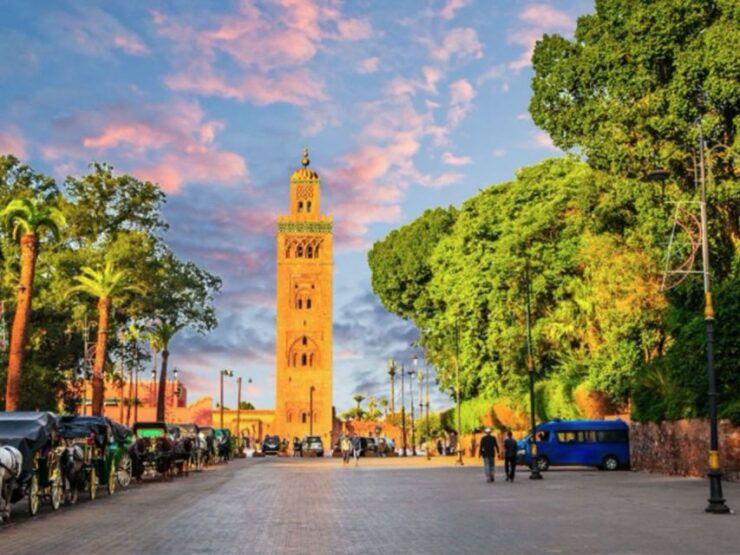 Agadir to Marrakech Day Trip - Travel Experience