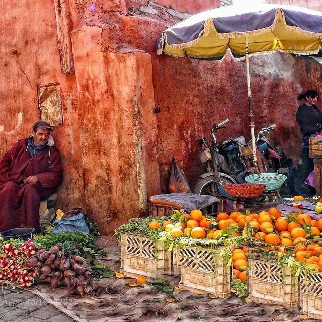 Agadir to Taroudant Privat Day Trip With Lunch - Experience Highlights