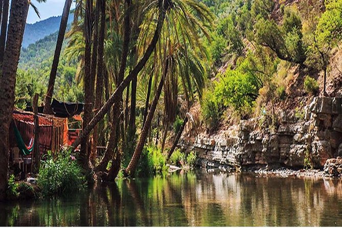 Agadir Trip To Paradise Valley - Expectations and Additional Info