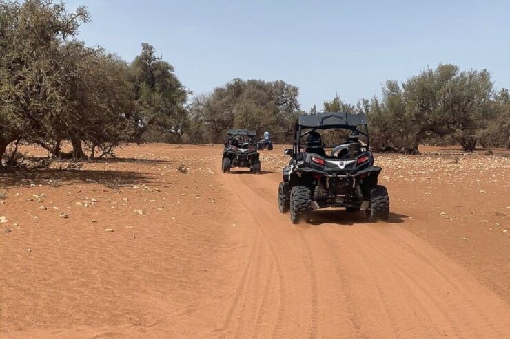 Agadir:Half-Day Desert Dunes Buggy Safari - Activity Details