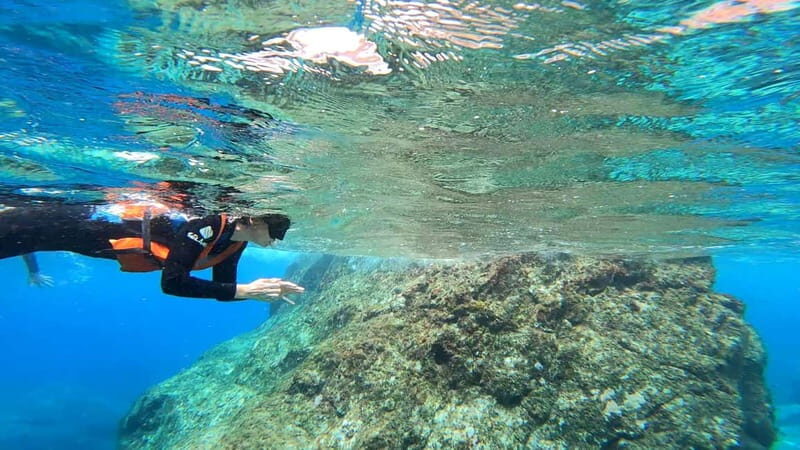 Agaete: Gran Canaria Coasteering. Marine Ferrata and Zipline - Frequently Asked Questions