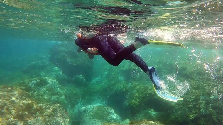 Agaete: Gran Canaria Coasteering Tour Winter Edition - Scenic Beauty and Geological Insights