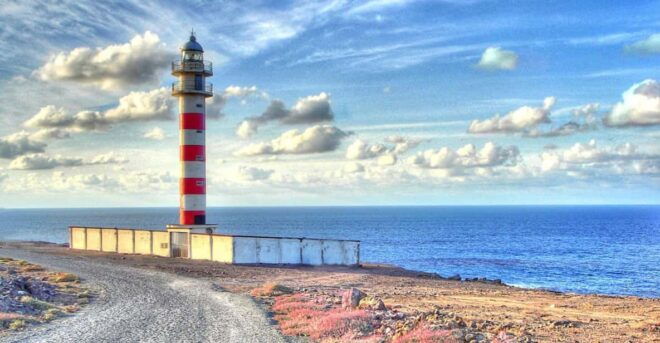 AGAETE: WILD NORTH COAST AND COFEE PLANTATION. PHOTO TOUR - Guided Tour Experiences