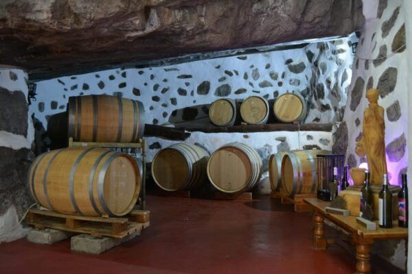 AGAETE: WILD NORTH COAST AND COFEE PLANTATION. PHOTO TOUR - Important Considerations