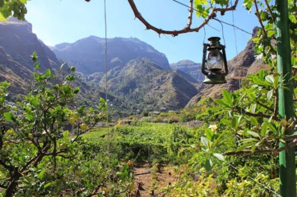 AGAETE: WILD NORTH COAST AND COFEE PLANTATION. PHOTO TOUR - Frequently Asked Questions