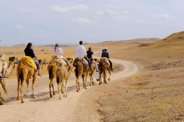 Agafay and Atlas: Quad and Camel Experience - Experience Highlights