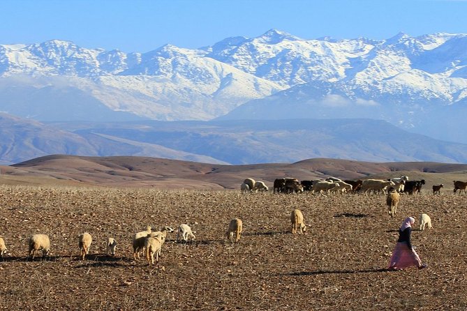 Agafay Desert 1 Day Trip - Price, Reviews, and Cancellation Policy