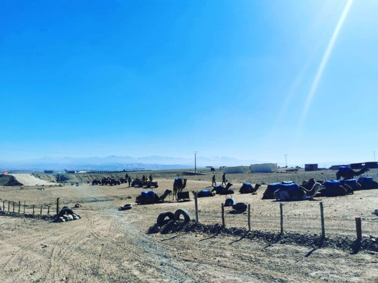 Agafay Desert : 1 Hour Camel Ride & 1 Hours Quad Bike - Inclusions
