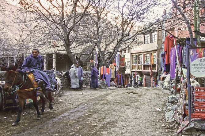 Agafay Desert and Atlas Mountain Tour With Camel Ride and Lunch - Tour Highlights