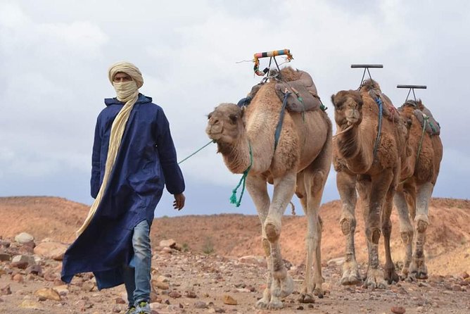 Agafay Desert and Atlas Mountains Day Trip : Virgin Trails & Camel Ride - Included Activities