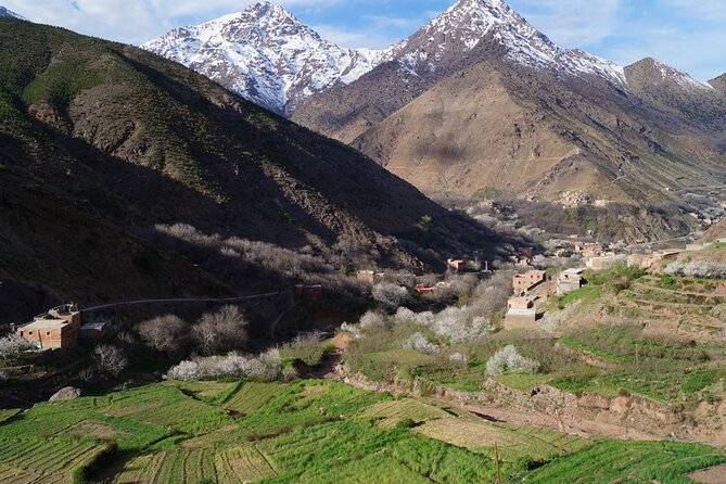 Agafay Desert and Atlas Mountains Day Trip With a Guide - Multiple Pickup Points Available