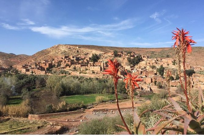 Agafay Desert , Atlas Mountains and Berber Villages Day Trip From Marrakech - Hike Through Picturesque Surroundings