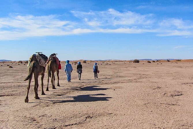 Agafay Desert, Atlas Mountains and Camel Ride Day Trip From Marrakech - Additional Details