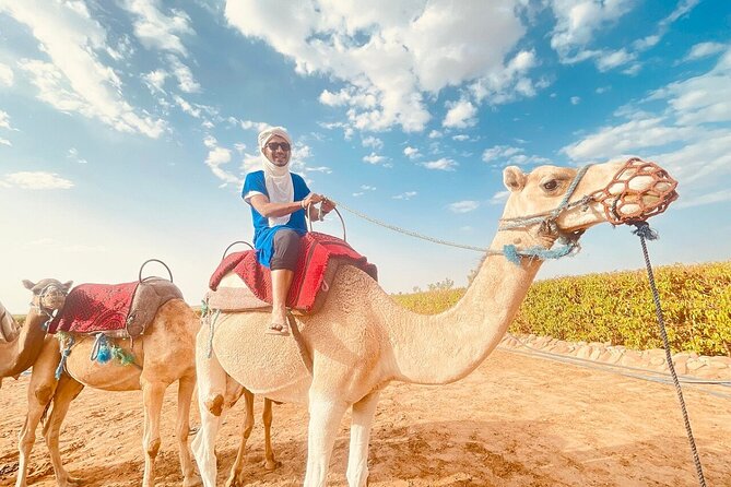 Agafay Desert, Atlas Mountains, and Waterfalls, Camel Day Trip From Marrakech - Booking Information