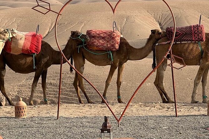 Agafay Desert Camel ARide With Dinner & Sunset Access to the Pool - Desert Dinner Experience